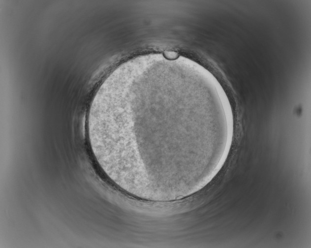 X0000115230019200912111041