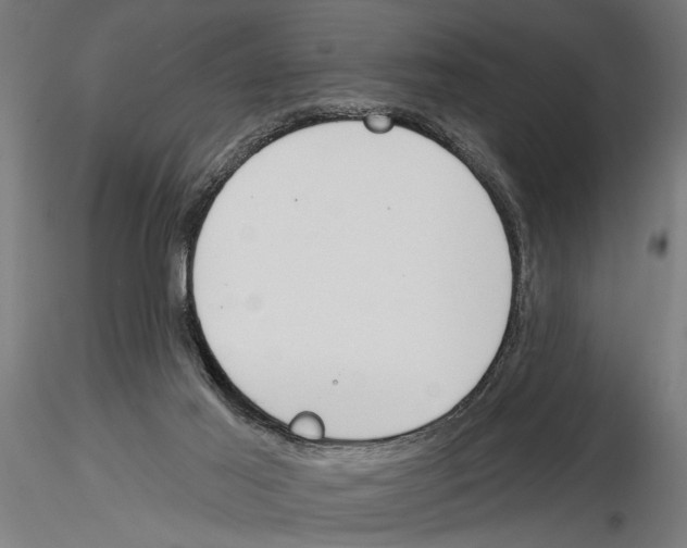 X0000115230021200912111041