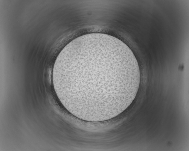 X0000115230022200912111041