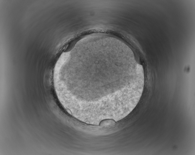 X0000115230023200912111041