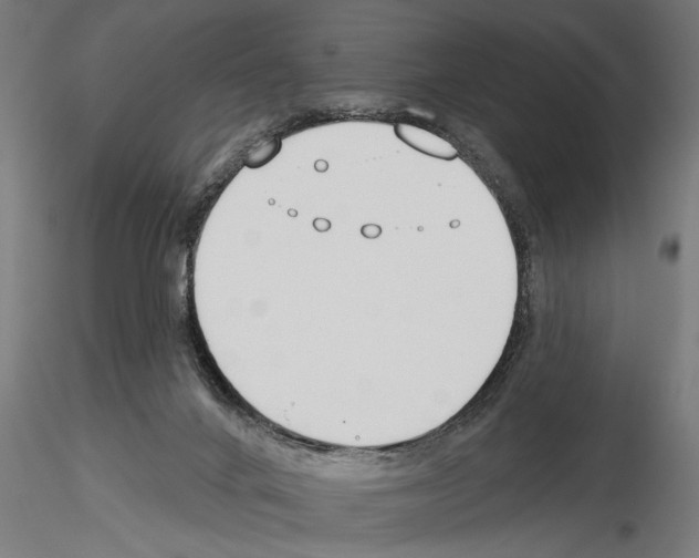 X0000115230024200912111041