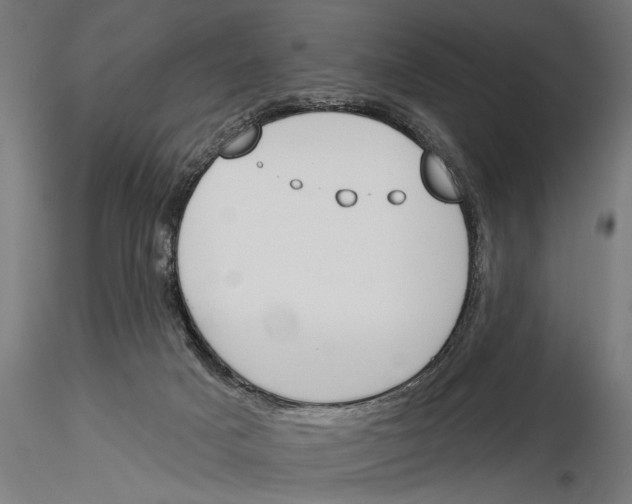 X0000115230025200912111041