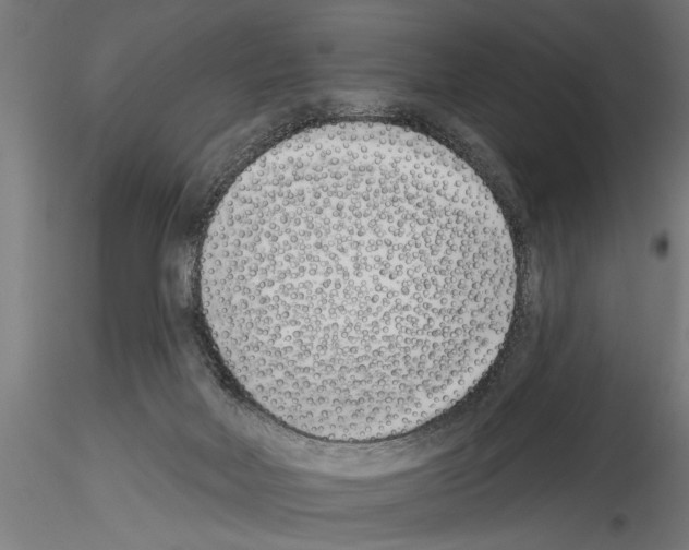 X0000115230026200912111041