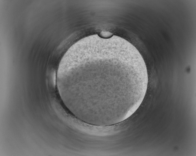 X0000115230027200912111041