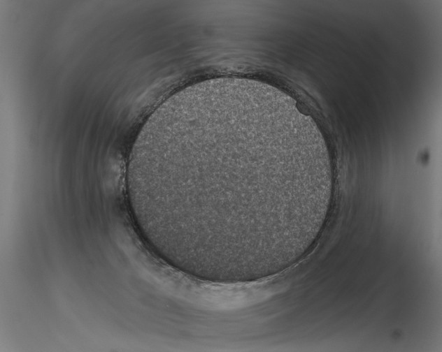 X0000115230029200912111041