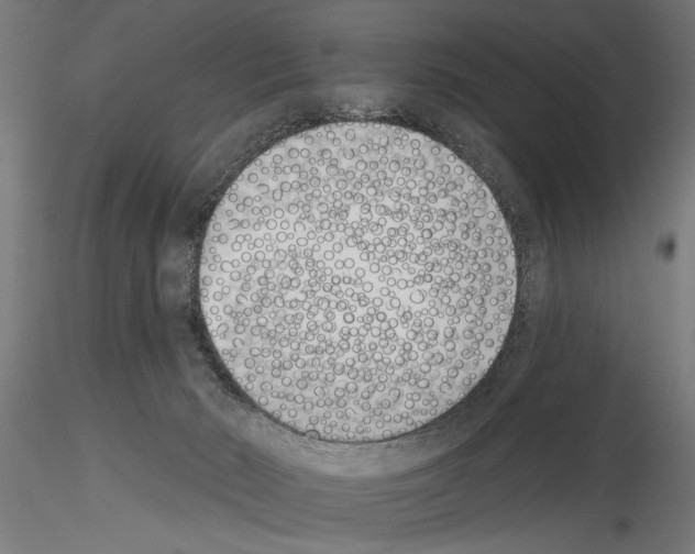 X0000115230030200912111041