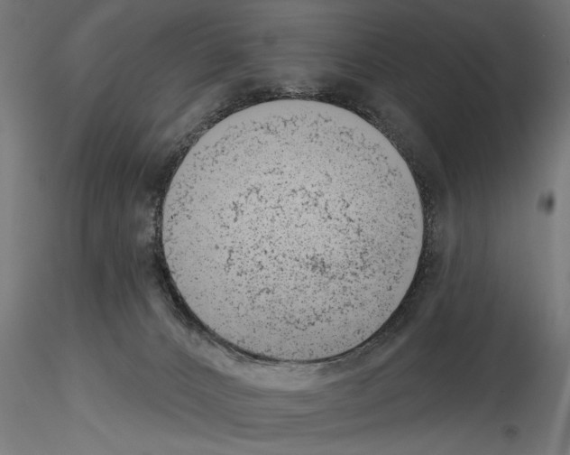 X0000115230032200912111041