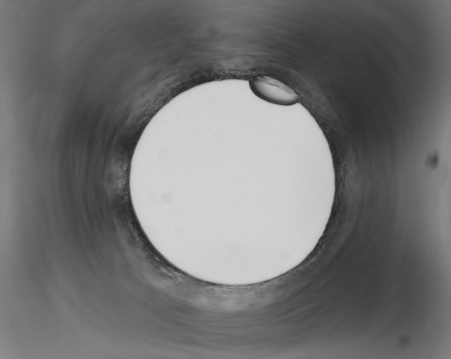 X0000115230033200912111041