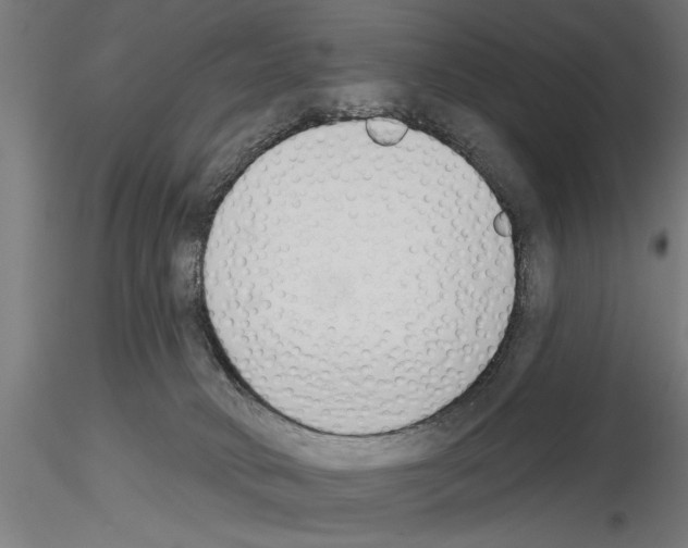 X0000115230034200912111041