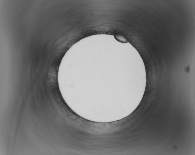 X0000115230037200912111041