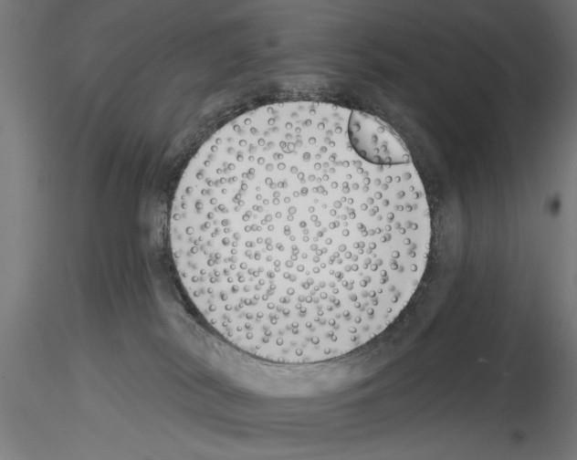 X0000115230038200912111041