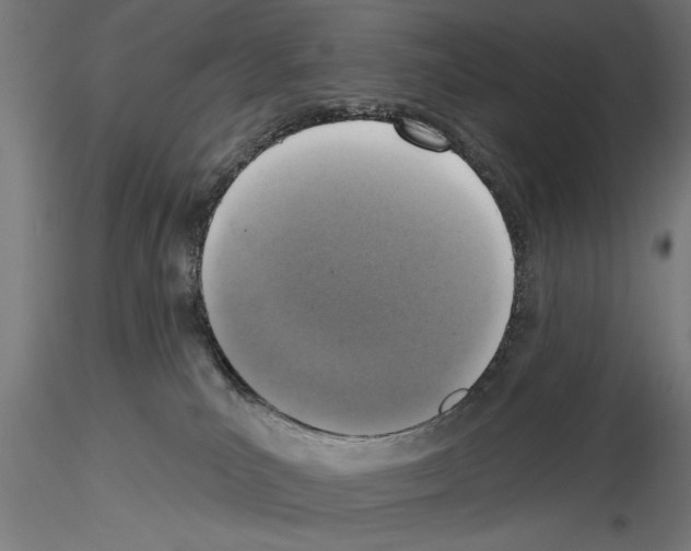 X0000115230039200912111041