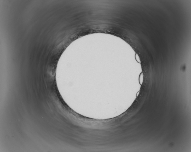 X0000115230040200912111041