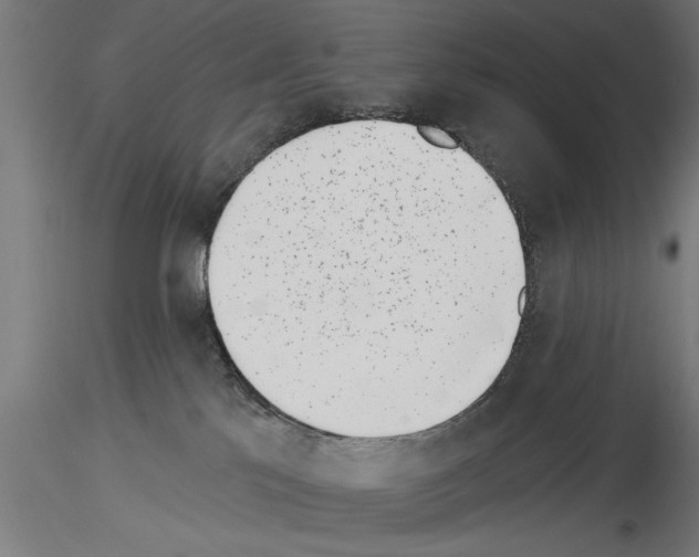 X0000115230041200912111041