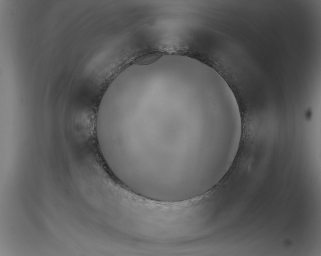 X0000115230043200912111041