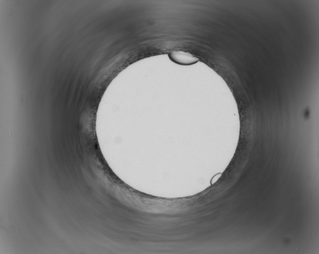 X0000115230044200912111041