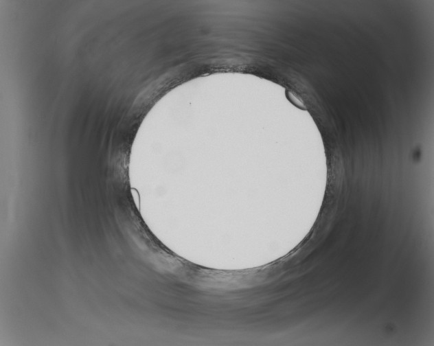 X0000115230045200912111041