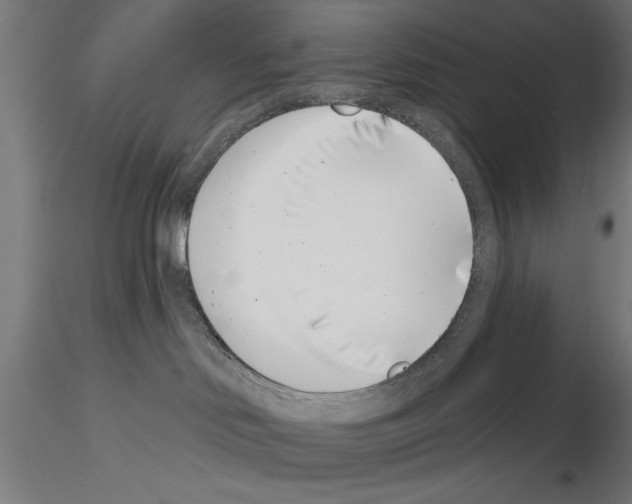 X0000115230046200912111041