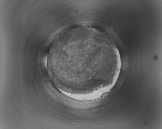 X0000115230047200912111041