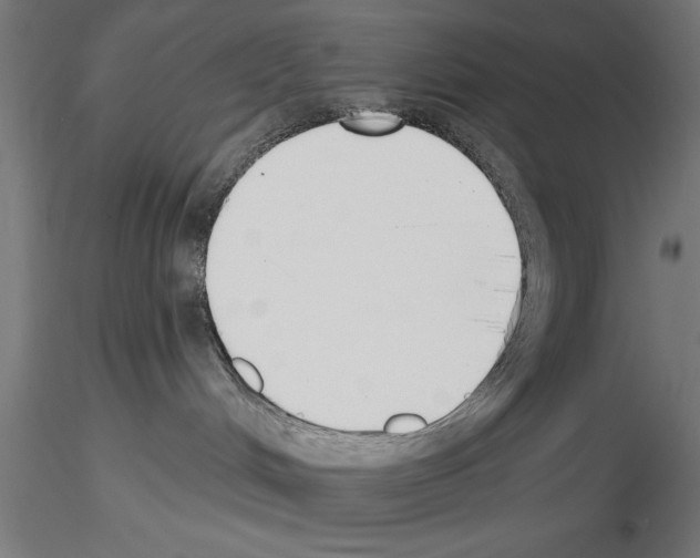 X0000115230048200912111041