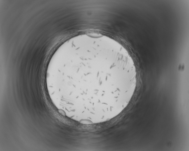 X0000115230049200912111040