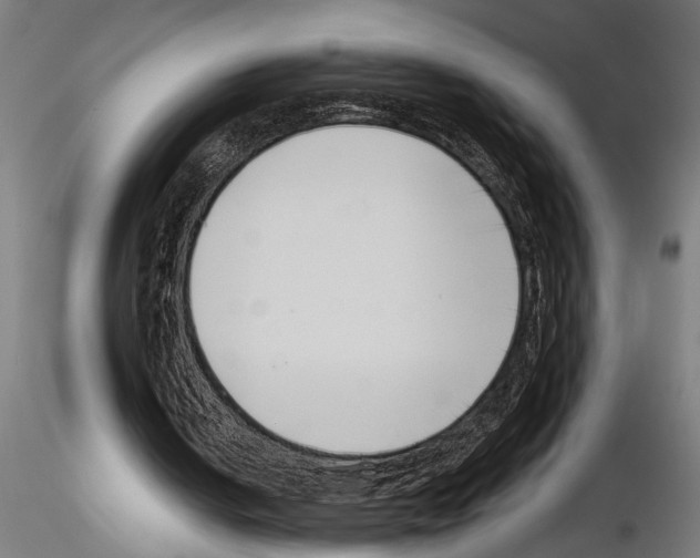 X0000115230050200912111040