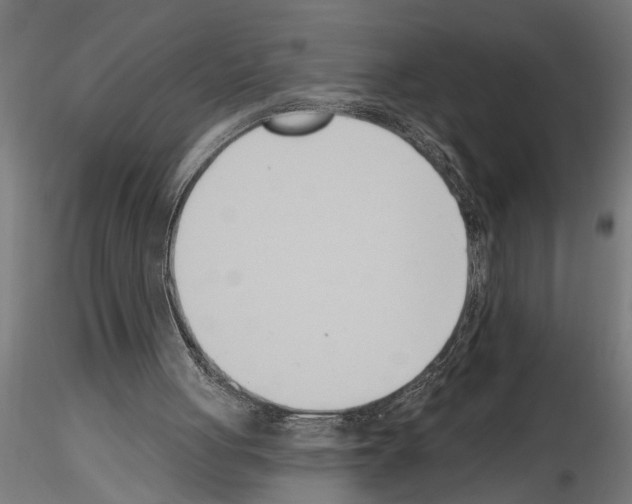 X0000115230051200912111040