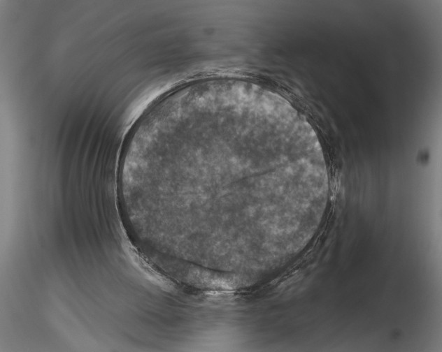 X0000115230052200912111040