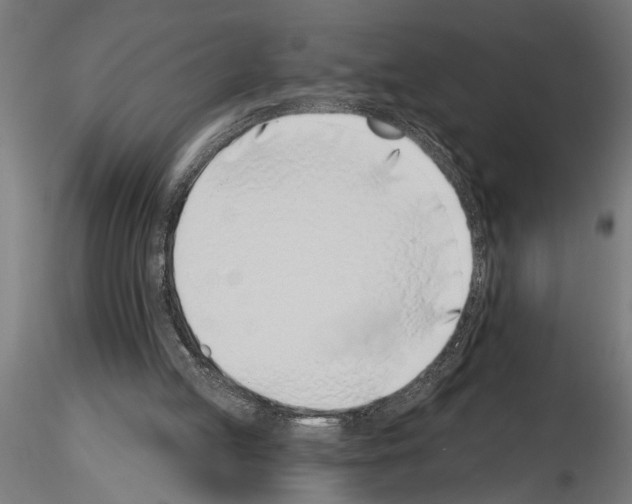 X0000115230053200912111040