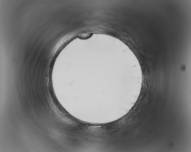 X0000115230054200912111040