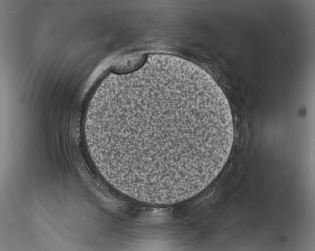 X0000115230056200912111040