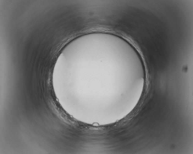 X0000115230057200912111040