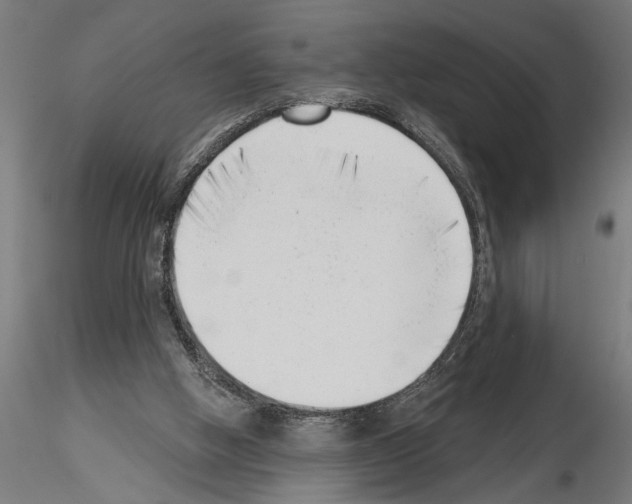 X0000115230058200912111040