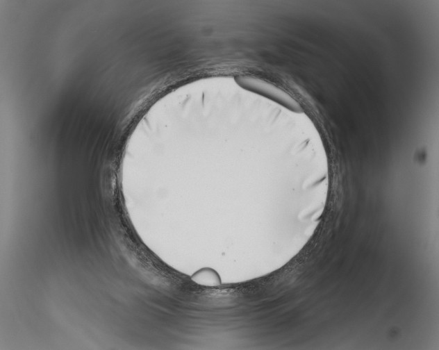 X0000115230059200912111040