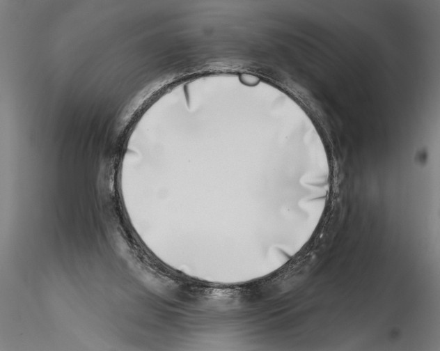 X0000115230060200912111040