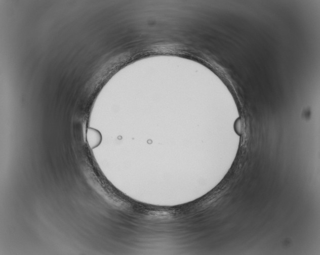 X0000115230061200912111040