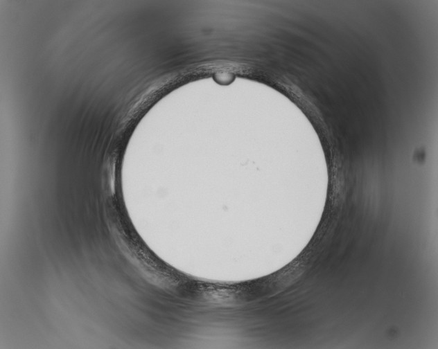 X0000115230062200912111040