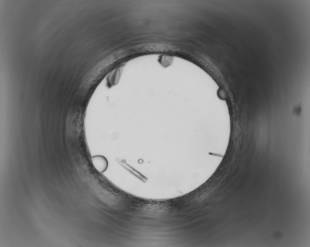 X0000115230063200912111040