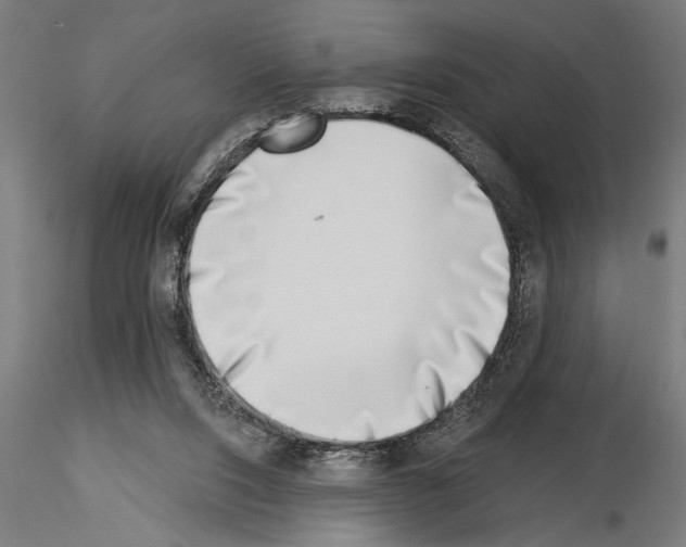 X0000115230064200912111040