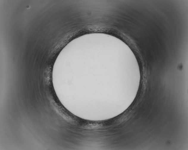 X0000115230065200912111040