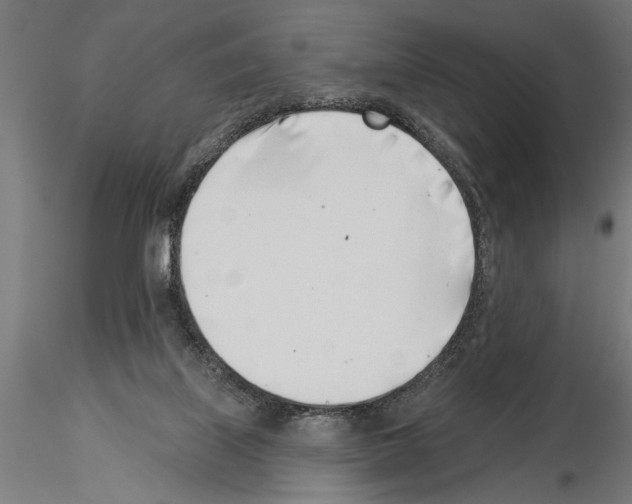 X0000115230067200912111040