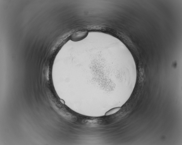 X0000115230068200912111040