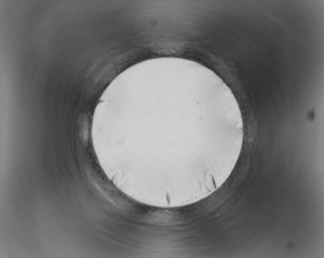 X0000115230069200912111040