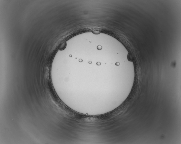 X0000115230071200912111040