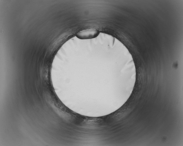 X0000115230072200912111040