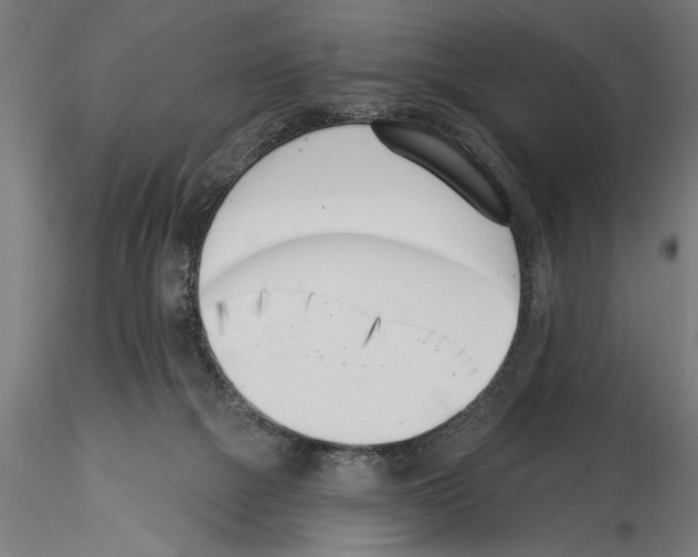 X0000115230073200912111040