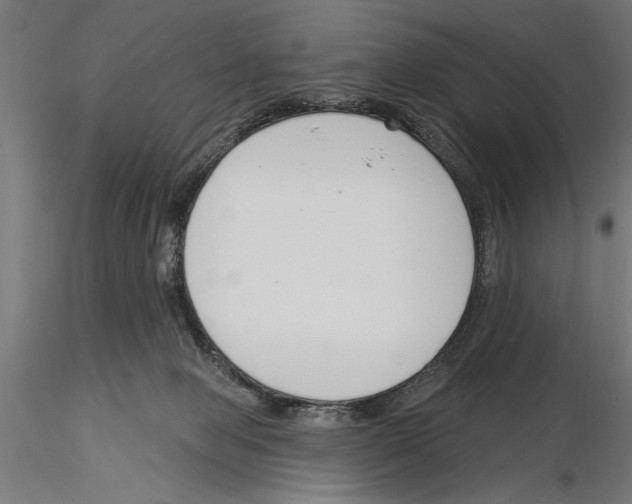 X0000115230077200912111040