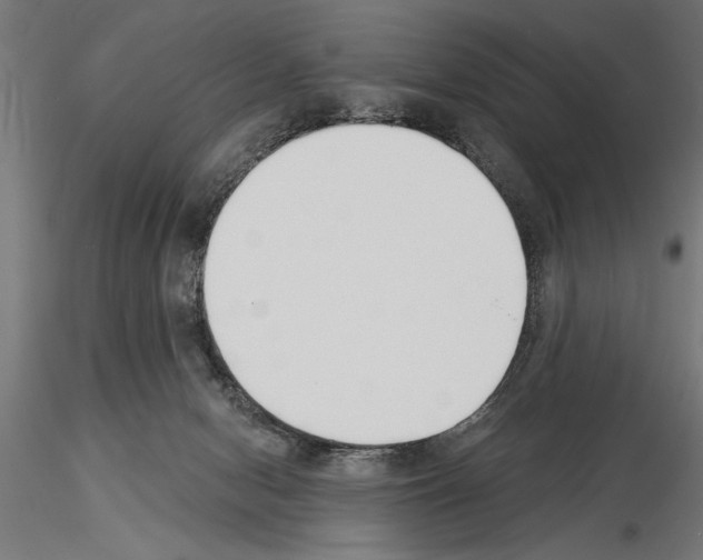 X0000115230078200912111040