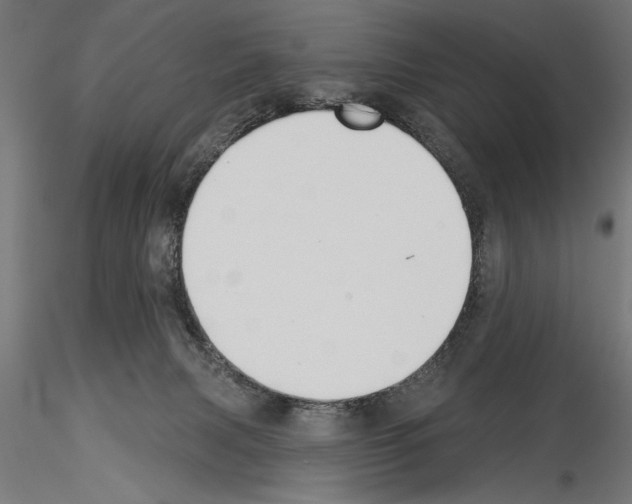 X0000115230079200912111040