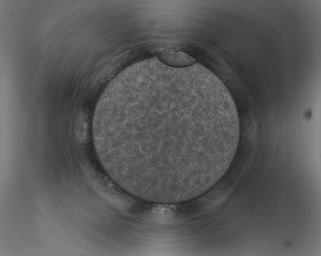 X0000115230080200912111041